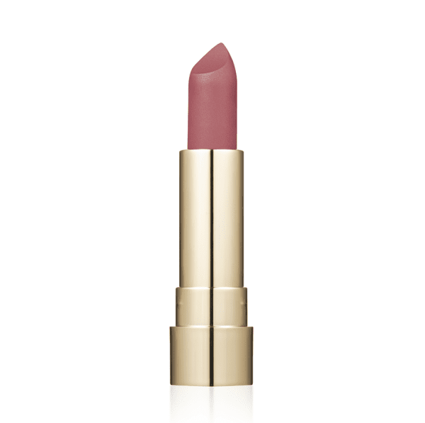 Помада для губ матовая ProHD Soft Matte TopFace тон 009 Stylish 4 г