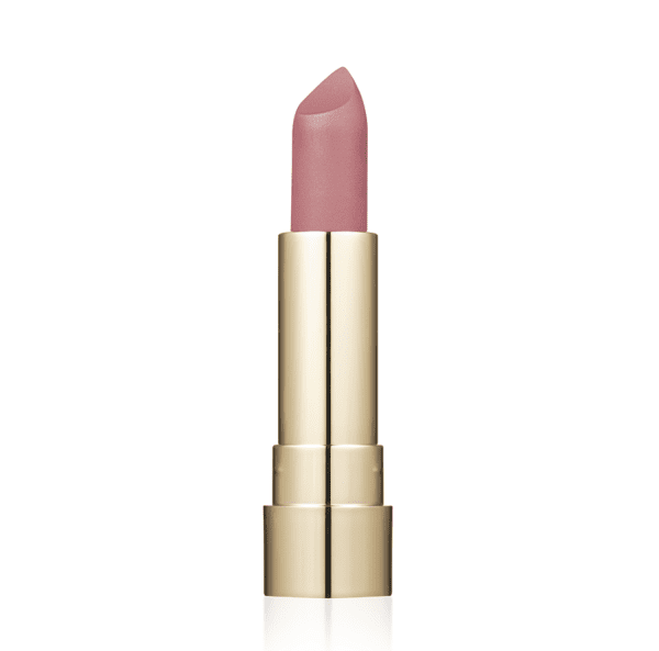 Помада для губ матовая ProHD Soft Matte TopFace тон 004 Pale Beach 4 г