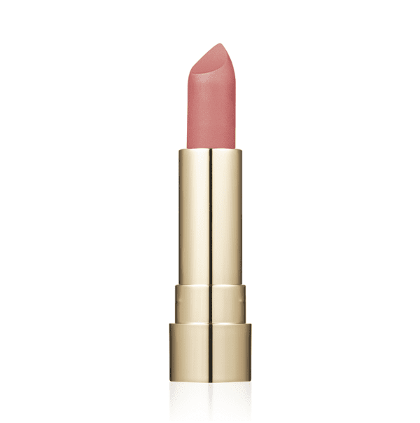Помада для губ матовая ProHD Soft Matte TopFace тон 002 Everyday Favorite 4 г