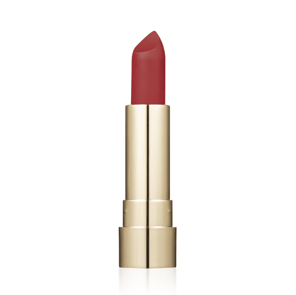 Помада для губ матовая ProHD Soft Matte TopFace тон 024 Secret Crush 4 г